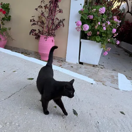 μαργαρίτα 1 別荘